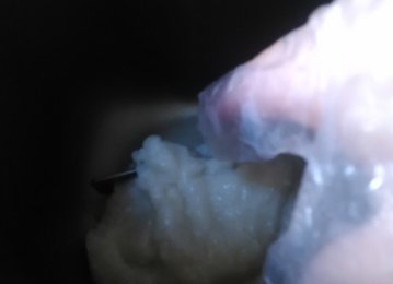 成都小吃三大炮是什么?