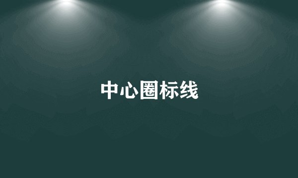 中心圈标线