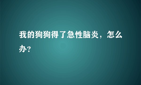 我的狗狗得了急性脑炎，怎么办？