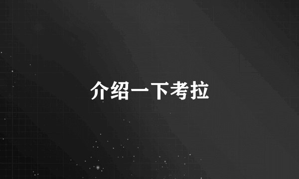 介绍一下考拉