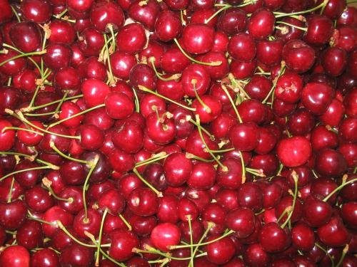 Cherry是什么意思？