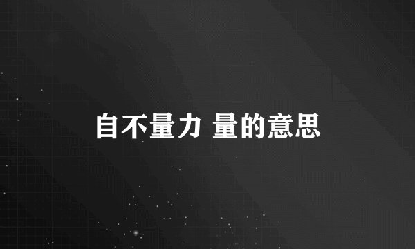 自不量力 量的意思