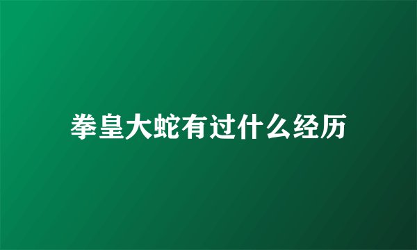 拳皇大蛇有过什么经历