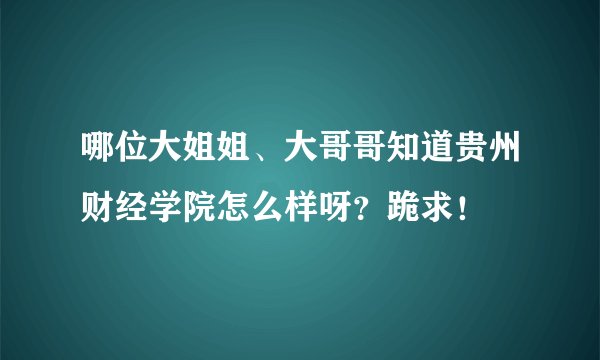 哪位大姐姐、大哥哥知道贵州财经学院怎么样呀？跪求！