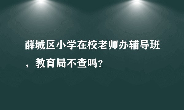 薛城区小学在校老师办辅导班，教育局不查吗？