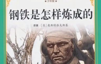 钢铁是怎样炼成的第二章摘抄+赏析