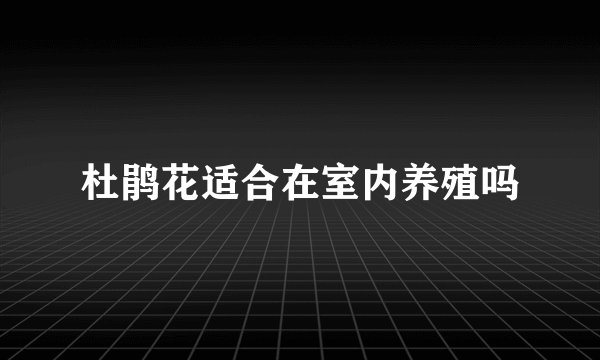 杜鹃花适合在室内养殖吗