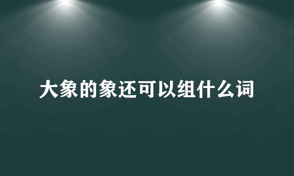 大象的象还可以组什么词
