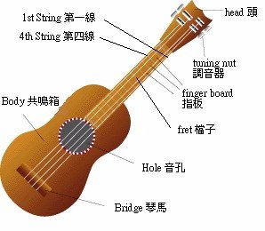 尤克里里和吉他有什么不一样啊?