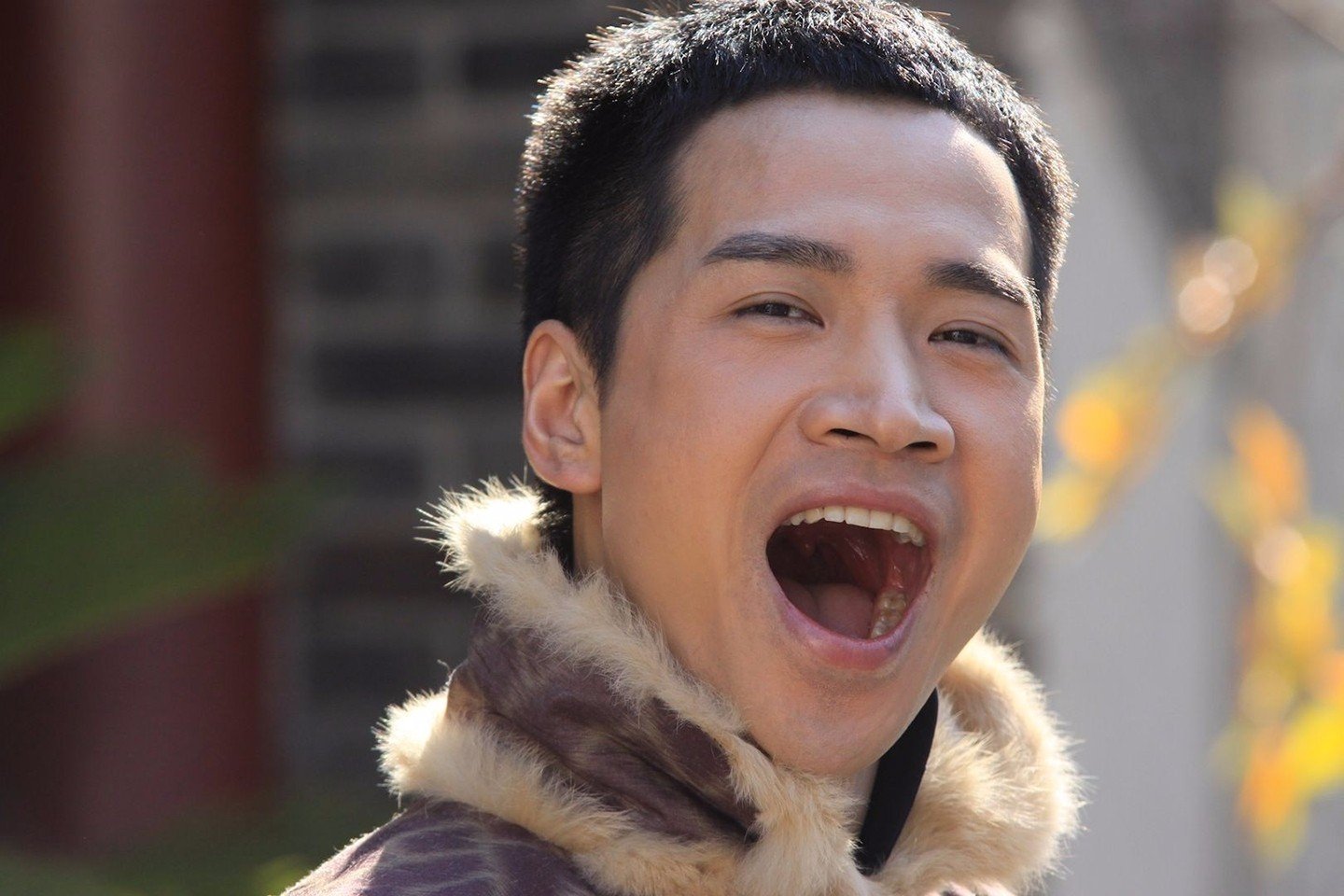 为什么何晟铭突然就销声匿迹了？