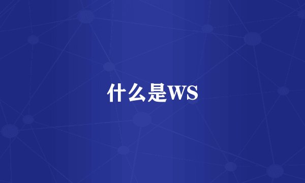 什么是WS