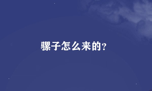 骡子怎么来的？