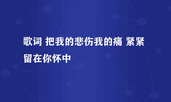 歌词 把我的悲伤我的痛 紧紧留在你怀中