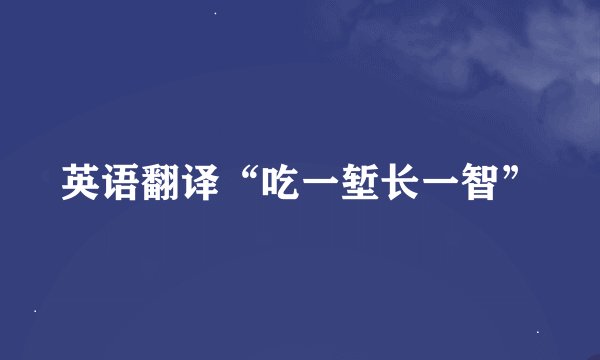 英语翻译“吃一堑长一智”