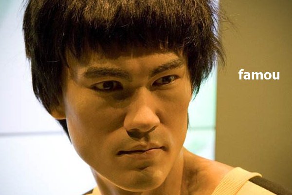 famous是啥意思？
