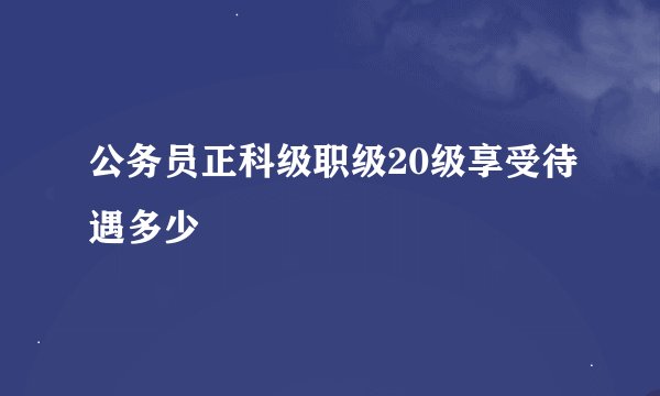 公务员正科级职级20级享受待遇多少