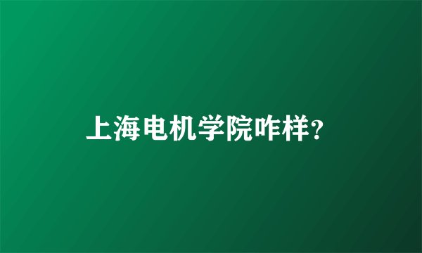 上海电机学院咋样？