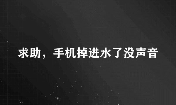 求助，手机掉进水了没声音