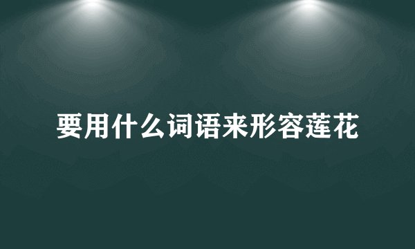 要用什么词语来形容莲花