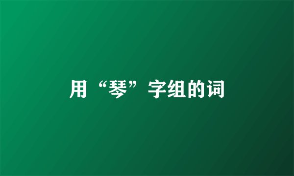 用“琴”字组的词