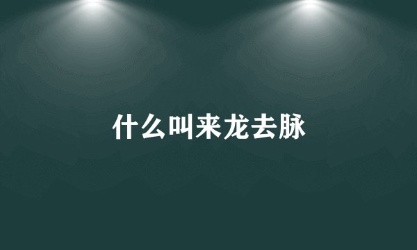 什么叫来龙去脉
