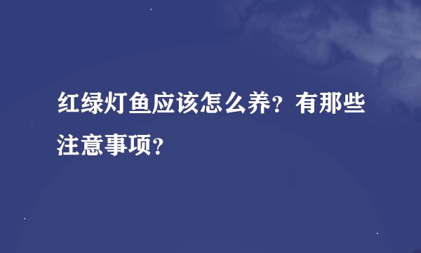 红绿灯鱼应该怎么养？有那些注意事项？