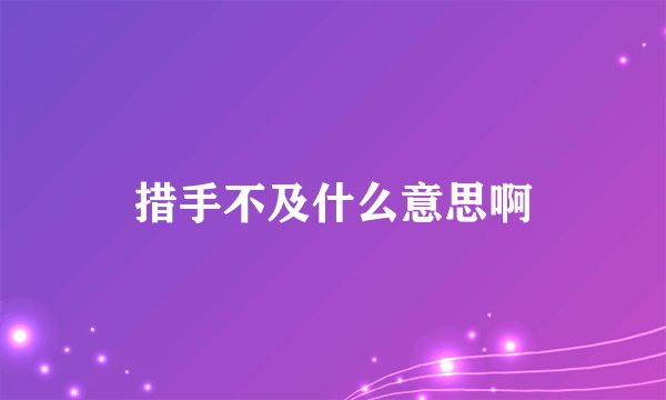 措手不及什么意思啊