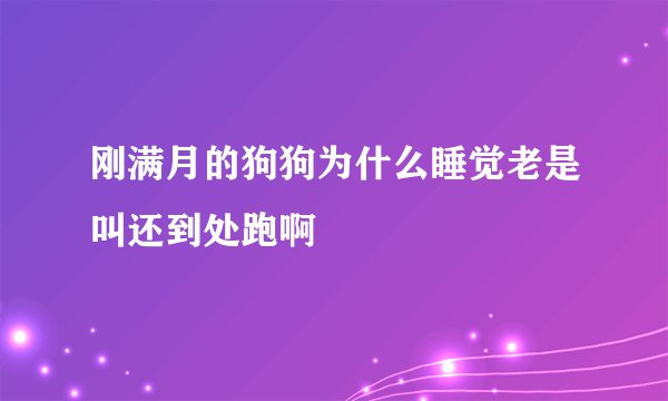 刚满月的狗狗为什么睡觉老是叫还到处跑啊