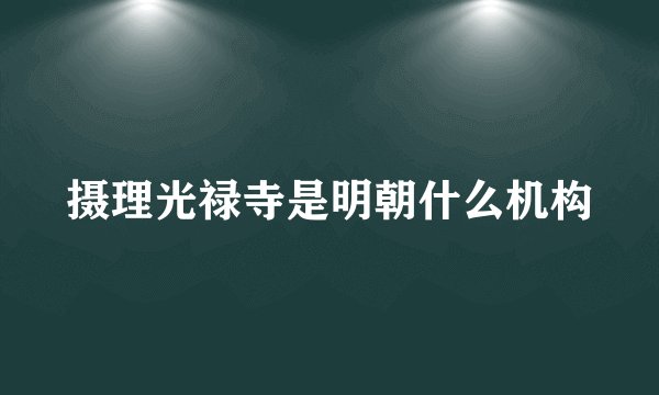 摄理光禄寺是明朝什么机构