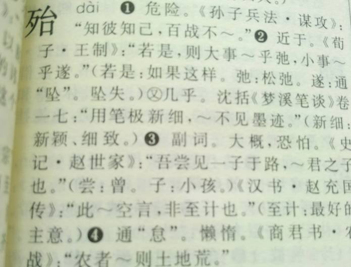 文言文中殆是什么意思