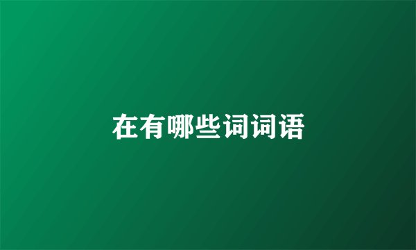 在有哪些词词语