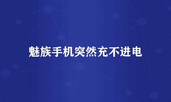 魅族手机突然充不进电