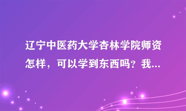 辽宁中医药大学杏林学院师资怎样，可以学到东西吗？我报的制药，这对我很重要，请快点回复，谢谢您……