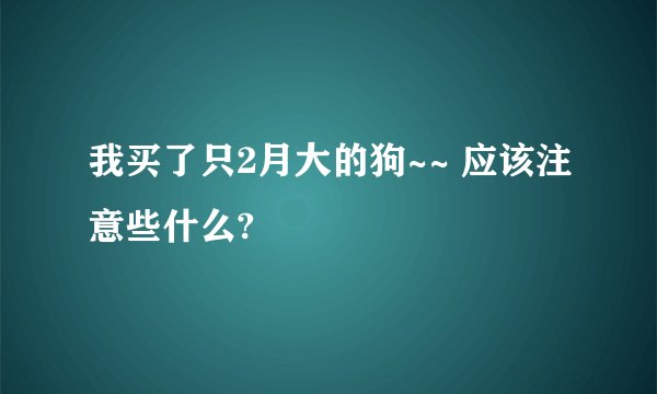 我买了只2月大的狗~~ 应该注意些什么?