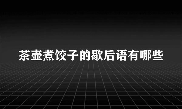 茶壶煮饺子的歇后语有哪些