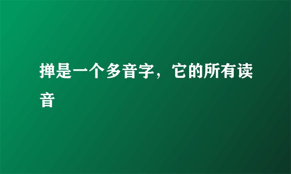 掸是一个多音字，它的所有读音
