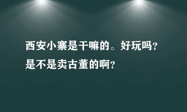 西安小寨是干嘛的。好玩吗？是不是卖古董的啊？