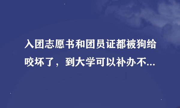 入团志愿书和团员证都被狗给咬坏了，到大学可以补办不？麻烦不？