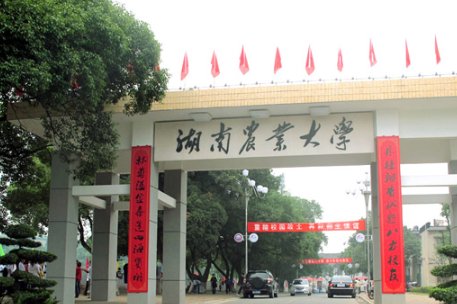 湖南最好的十所大学