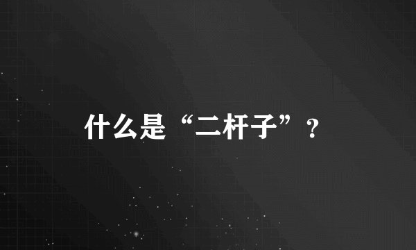 什么是“二杆子”？