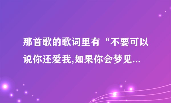 那首歌的歌词里有“不要可以说你还爱我,如果你会梦见我,请你抱紧我”