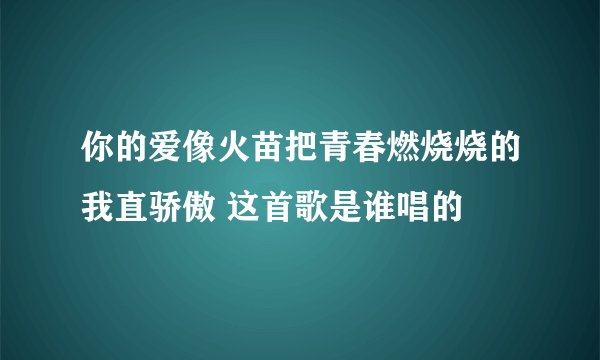 你的爱像火苗把青春燃烧烧的我直骄傲 这首歌是谁唱的