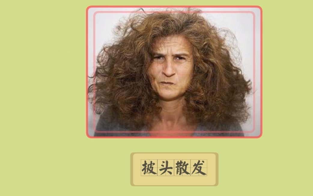 成语披头散发的意思