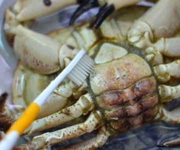 面包蟹怎么蒸呢？