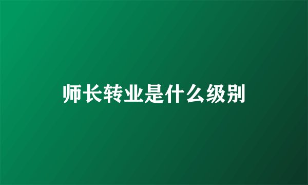 师长转业是什么级别