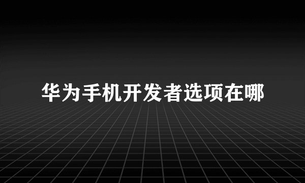 华为手机开发者选项在哪