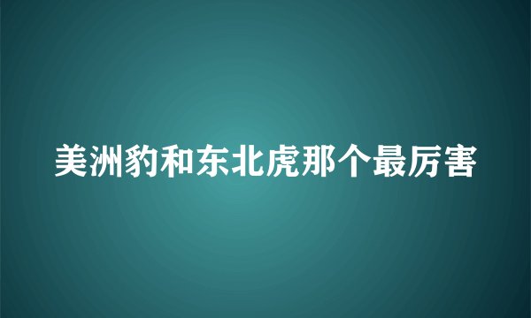 美洲豹和东北虎那个最厉害