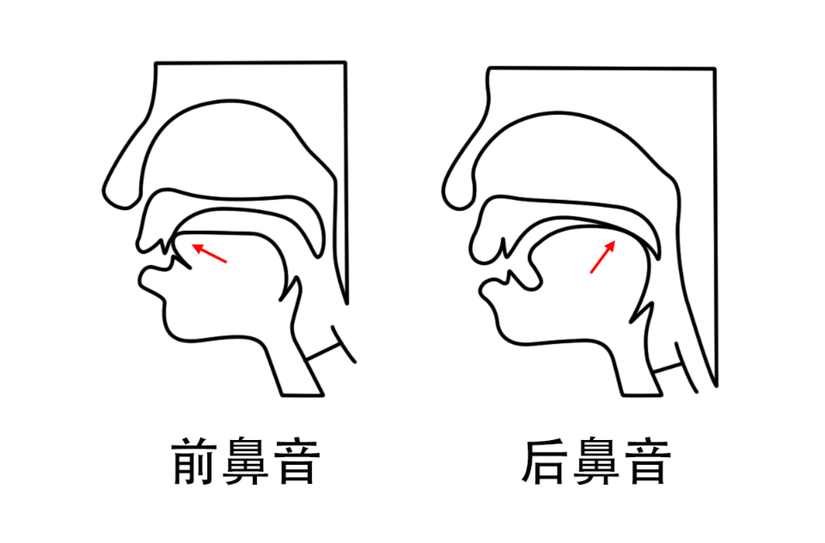 前后鼻音什么意思