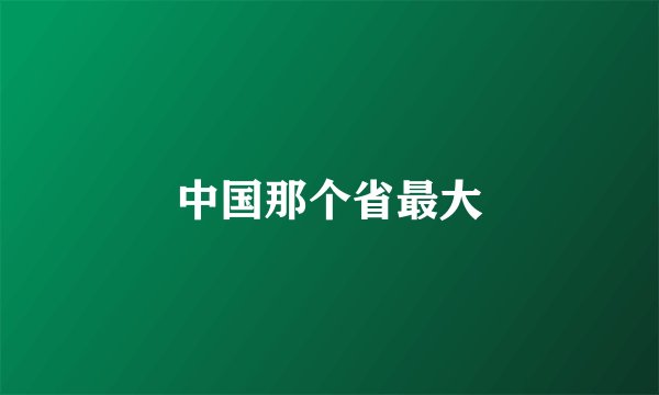 中国那个省最大