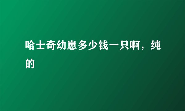 哈士奇幼崽多少钱一只啊，纯的